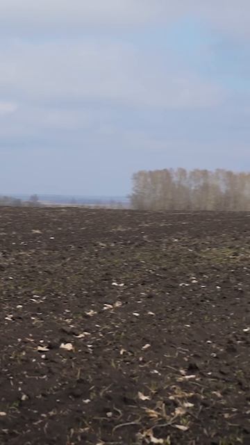 Фермер осматривает поле чеснока 6 га: оценка состояния смотреть онлайн