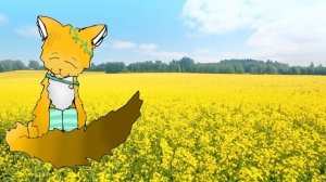 /ГДЕ ВЫ? / ОЧЕНЬ ГРУСТНО( (ОПИСАНИЕ)