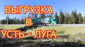 ✅ ВЫГРУЗКА В УСТЬ - ЛУГА.