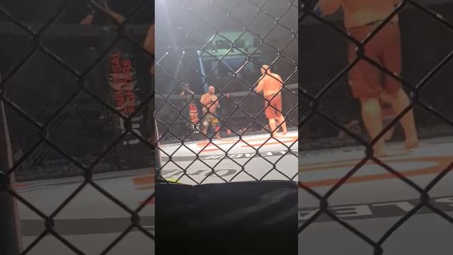 бой Магомед Маликова, смотреть онлайн