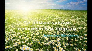 По ромашковым нехоженым полянам_AntonioM С СашейК