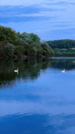 Как классно жить здесь и любоваться этим в любое время