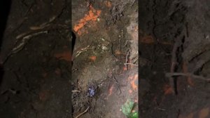 Магнитометр Гефест-4/Выезд с ночевкой на заброшенный ?