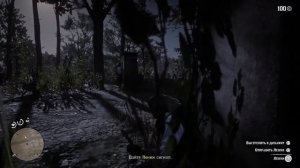Red Dead Redemption 2 прохождение  (Глава 3) Взывая к прощению (часть29)
