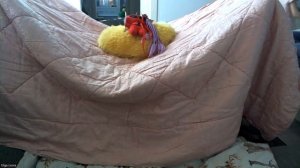 🏠✨ Волшебный домик из стульев и одеял! 🧸🐱 Анюта стр