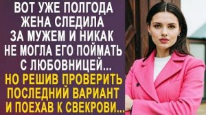 Вот уже полгода жена следила за мужем и никак не могла его поймать с любовницей... Но решив...