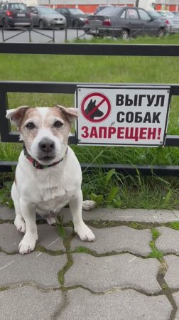 Вам предоставлена отдельная квартира, там и гуляйте!