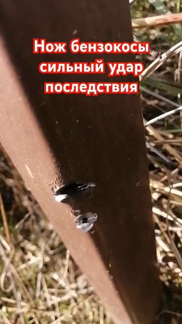 Мульчирующий нож для бензотримера #stihlfs450 #бензокоса #п смотреть онлайн