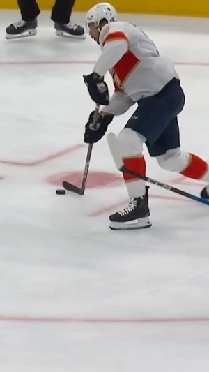 Panthers Strike First in Game 7