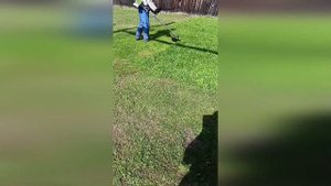 Бензиновый триммер Deli DE-GT255