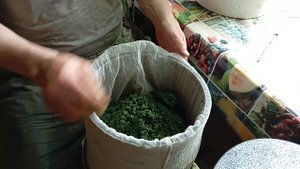 приготовление сока лопуха