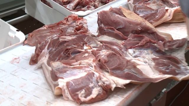 Обвальщик смотреть онлайн