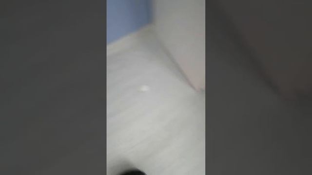 таракан крымский умер от запаха носков смотреть онлайн