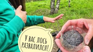 Нашла странный стрёмный кусок плоти в лесу. Если что, то нулевой пациент - я