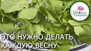 ПРОСТО И ОЧЕНЬ ПОЛЕЗНО