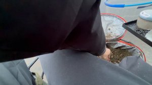 Ловля Леща на канале имени.Москвы на фидер. Пошел Карась. клев карася весной на фидер