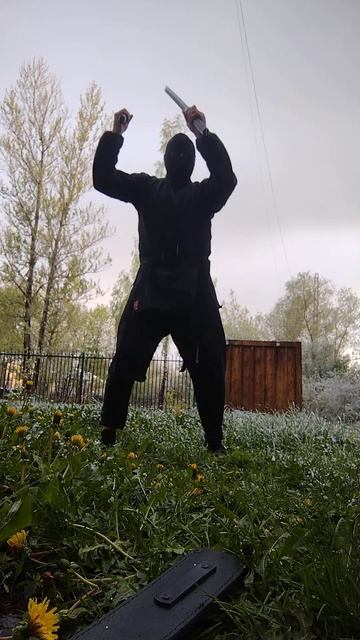 Северный ниндзя: Двойные Акулы Под Снегом 29.06.2024 北の忍者: 雪の下の双子のサメ