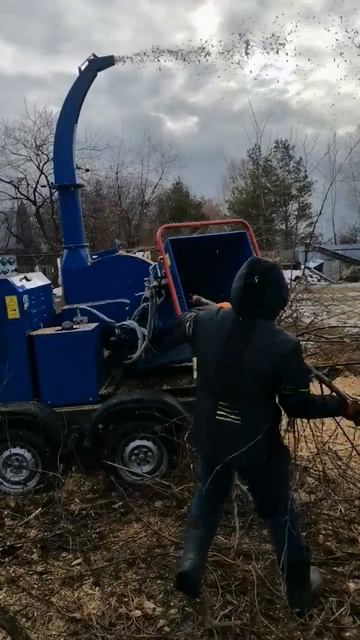 Аренда измельчителя веток в Казани 80л.с до 30м³ в час смотреть онлайн