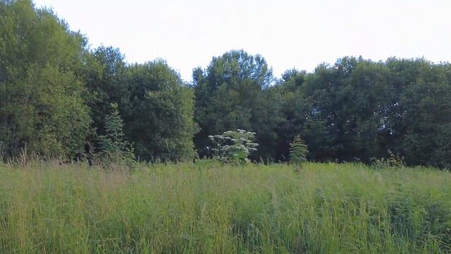 Борьба с БОРЩЕВИКОМ №5: решил брать измором! смотреть онлайн