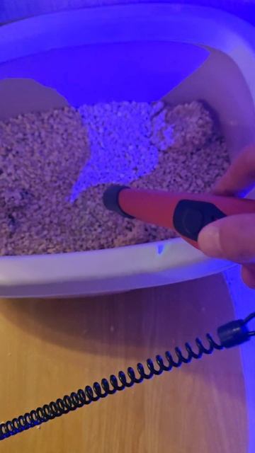 Нашёл монту в лотке у кошки #коп #металлоискатель #поис смотреть онлайн