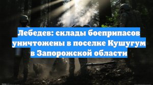 Лебедев: склады боеприпасов уничтожены в поселке Кушугум в Запорожской области