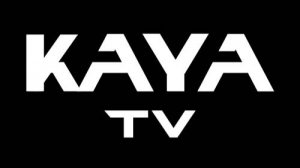 Японские телевизоры KAYA. Качество и стиль.