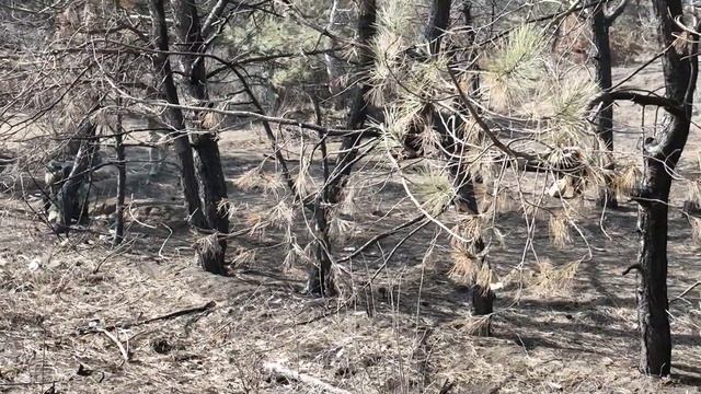 Два Полковника смотреть онлайн