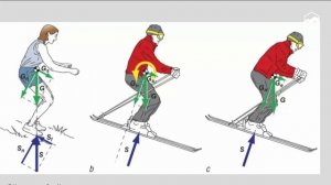 Катание на горных лыжах: правильная техника и упражне?