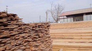 НАРХОИ ТАХТА БОЗОРИ БАРАКАТ АРЗОН ШУД😱😱😱 ДАР ШАХРИ