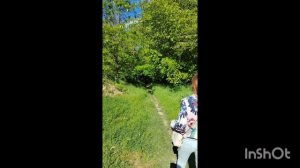 Хор лягушек и природа Краснодарский край.mp4