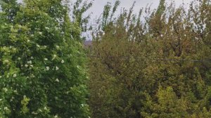 Дождливый и пасмурный день в деревне, счастливая и уютная деревенская жизнь