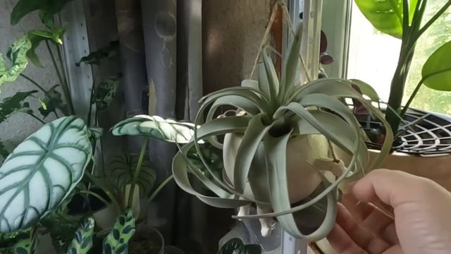 Обзор коллекции пол года спустя  Стеллаж №1 смотреть онлайн