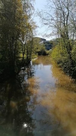Река Оккервиль