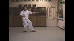 тайцзи цуань 太极拳