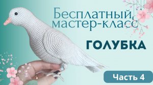 Как связать игрушку голубя крючком. Бесплатный мастер-класс по вязанию птицы амигуруми