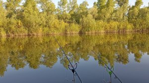 Рыбалка на леща! Река Сок! #рыбалка #лещ #фидер #природа