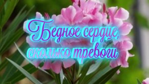 Бедное сердце, сколько тревоги