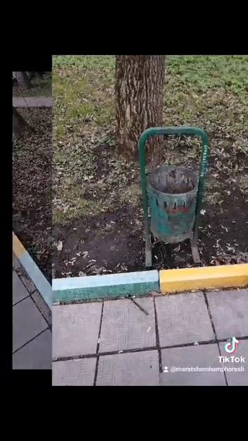 Самые "классные" урны в мире г. Москва, ПНИ №22 смотреть онлайн