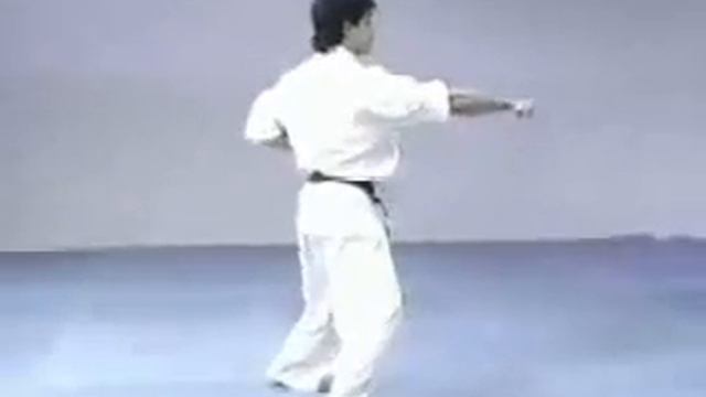 Кіокушин карате Ката Цукі-но Karate Kyokushin Tsuki No Kata 