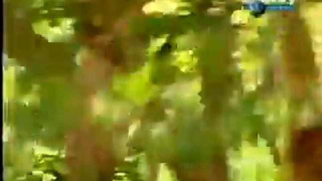 15 июня 2017 г. смотреть онлайн