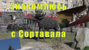 ОТПУСК В СОРТАВАЛА/ ЗНАКОМСТВО С ГОРОДОМ /18 мая 2025 г