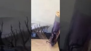 Как создать театр теней дома