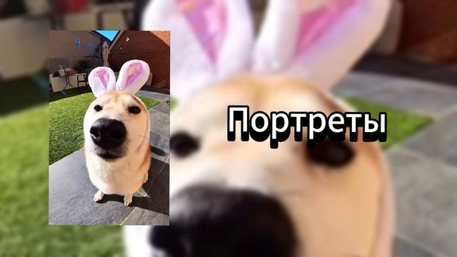 Портреты (speed up) смотреть онлайн