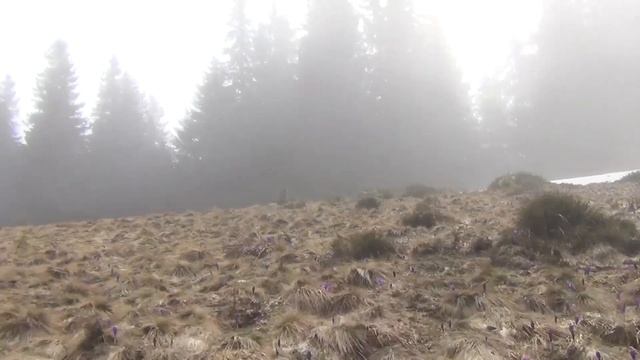 Ротило-Микуличин 2017 Part1_Волова-Ротило