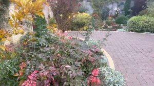 Я пришлю тебе осень в обычном почтовом конверте…