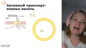 Активный транспорт: ионные насосы #егэ #биология #клет?