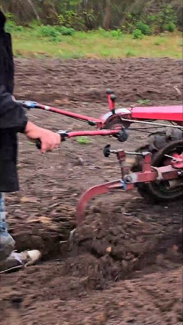 Мотоблок-классика Белорус-МТЗ #automobile #farming #agriculture смотреть онлайн