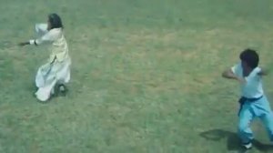 7 великих мастеров (боевик кунг фу,1978 год)