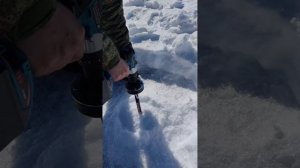 BL Motor (Abeden) шуруповёрт, шнек 130 Волжанка Неро, понижающи?