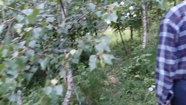 Иршавщина, Негрово смотреть онлайн